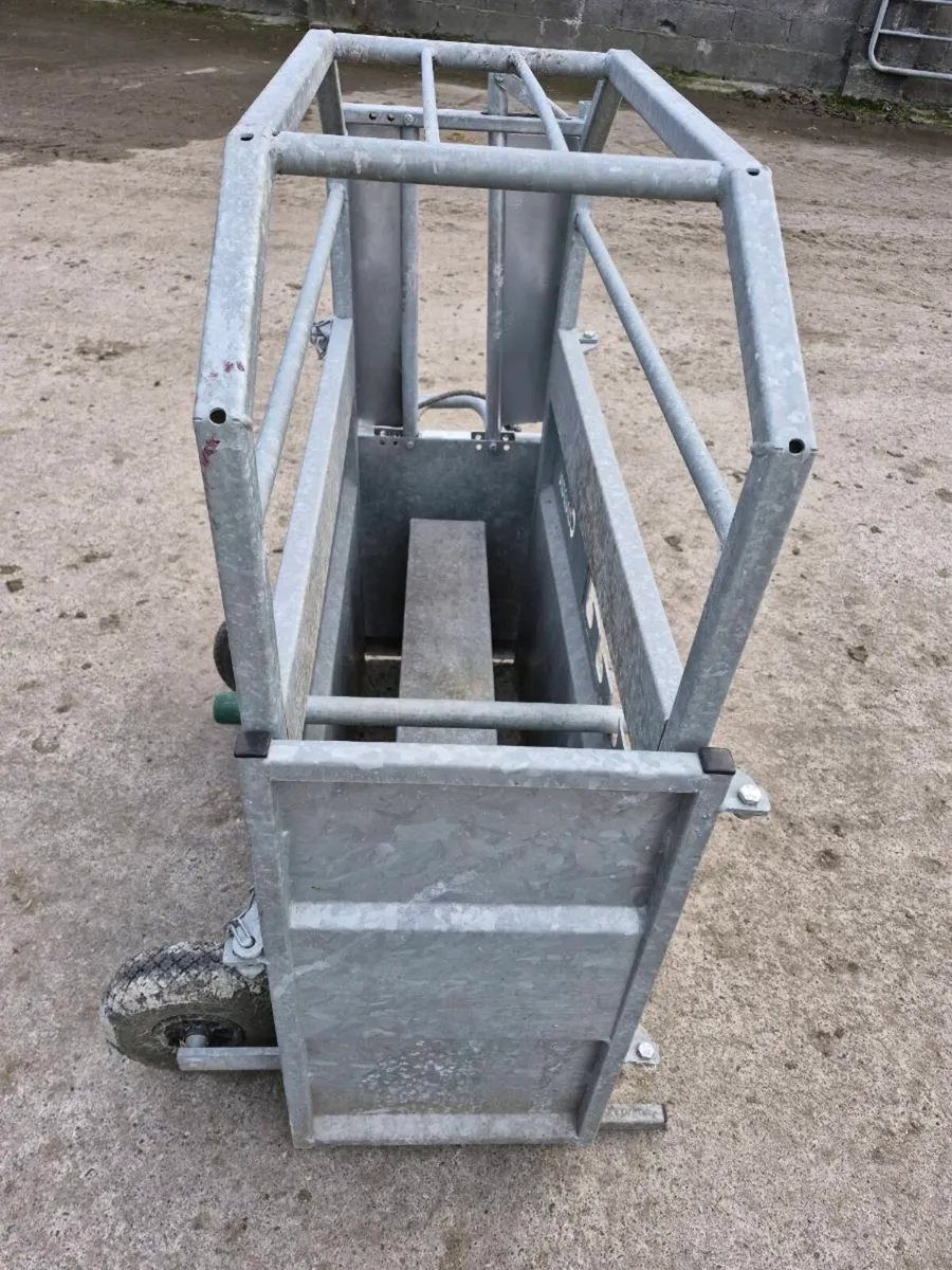 Dehorning crate - Image 3