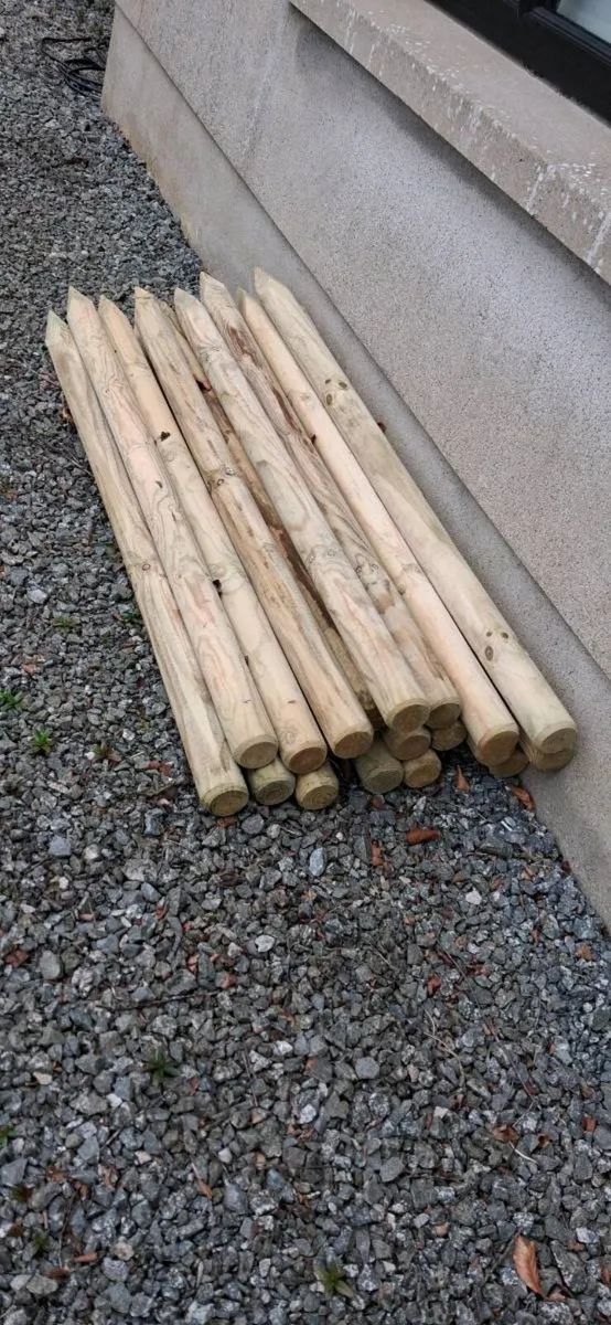 20   3" 5foot stakes