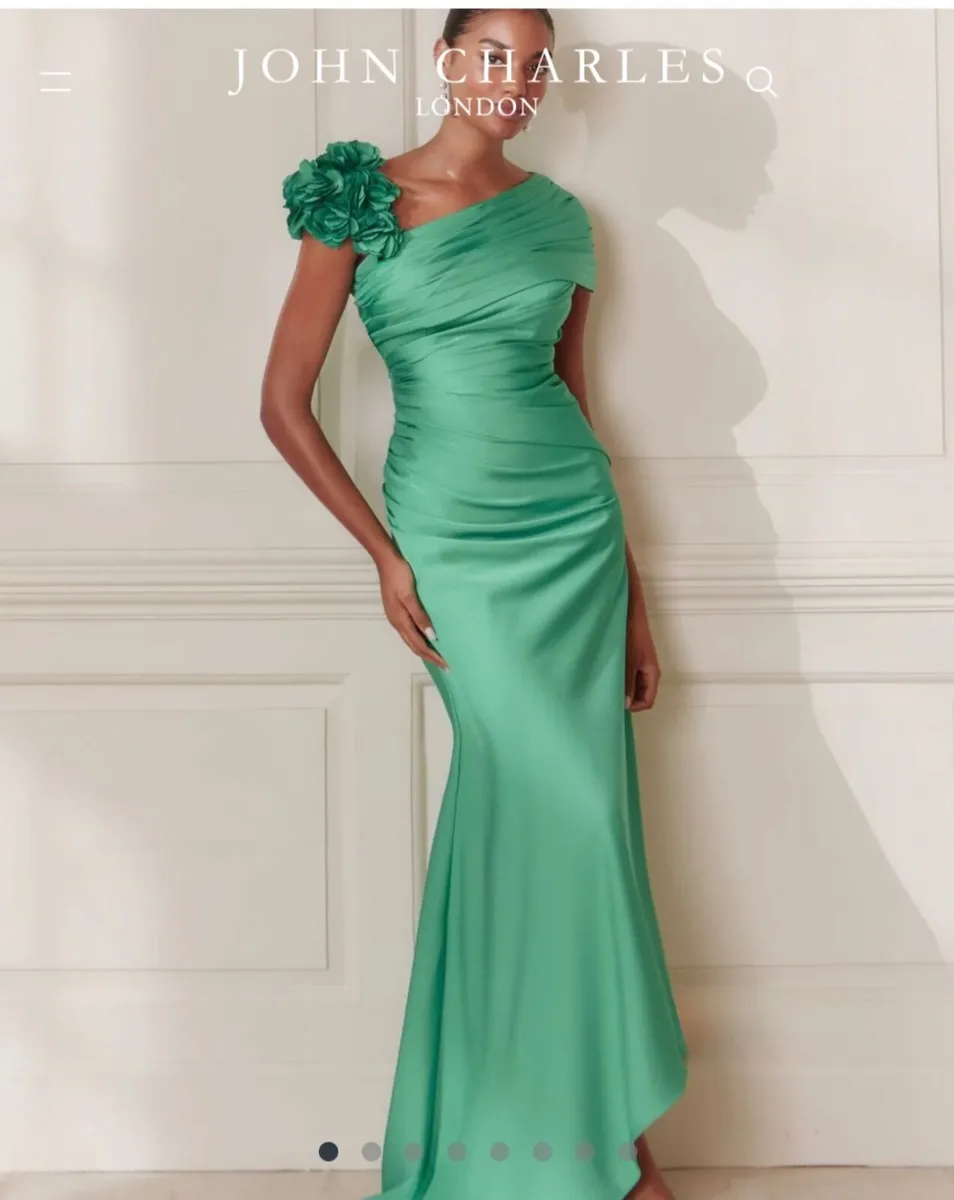 Mother of the bride /groom John Charles dress - Image 1