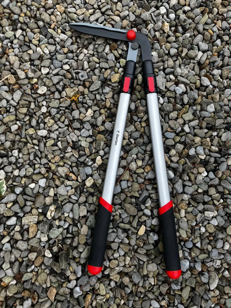 Darlac Telescopic lawn edging shears - Image 1