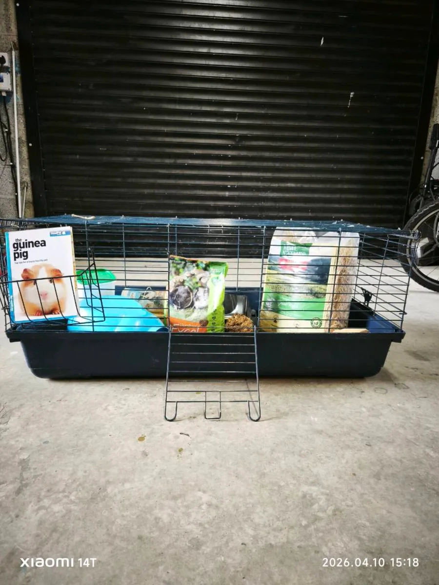 Guinea Pig setup