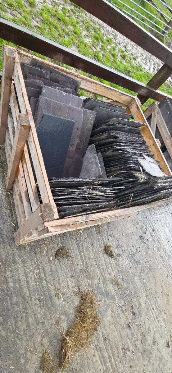 Blue Bangor slates - Image 1