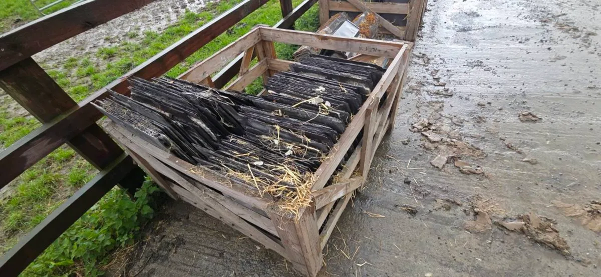 Blue Bangor slates - Image 2