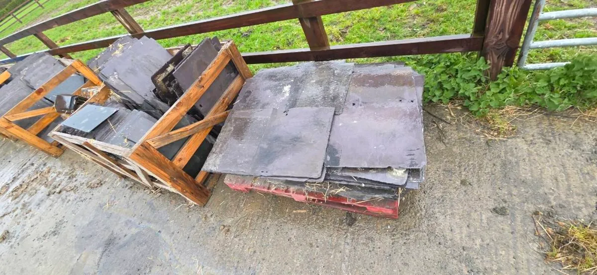 Blue Bangor slates - Image 4