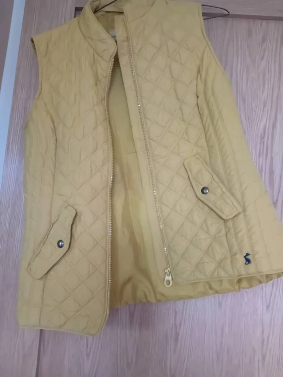 Ladies Gilet - Size 12 - Image 2
