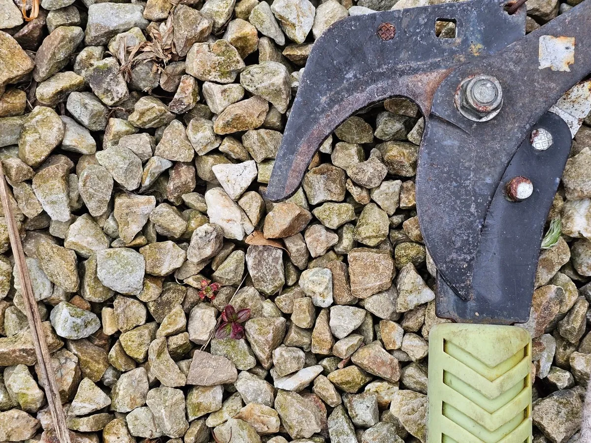 Long reach loppers pruner handled extendable teles - Image 2