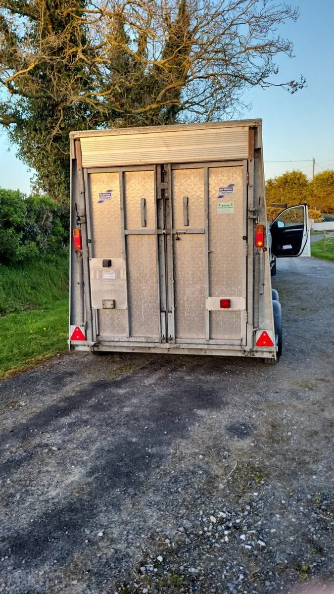 Ifor Williams 8 x 5 Trailer - Image 2
