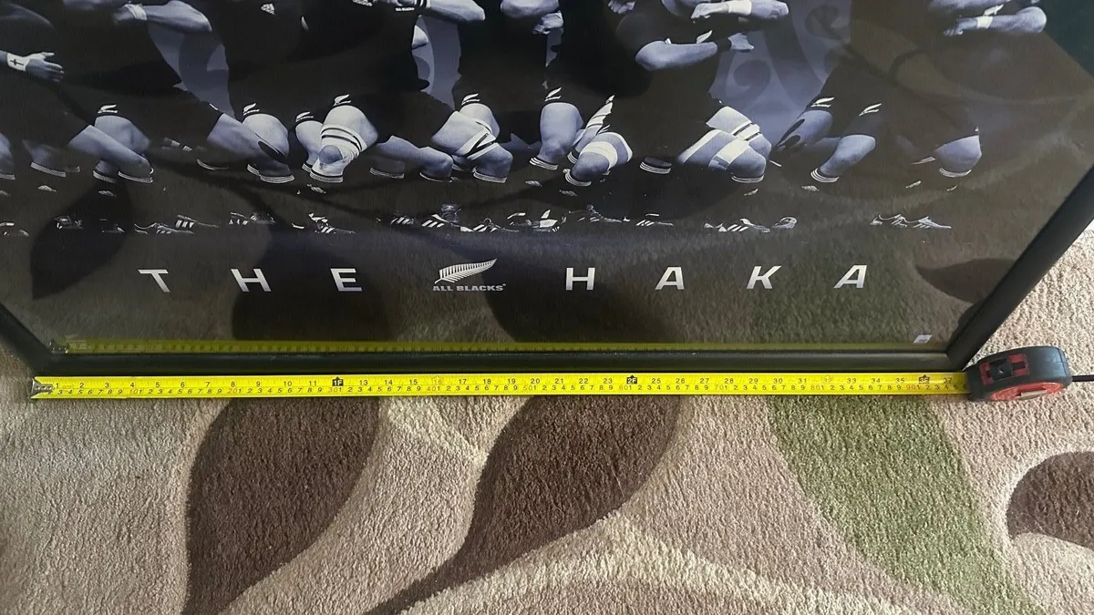 New Zealand picture - Image 4