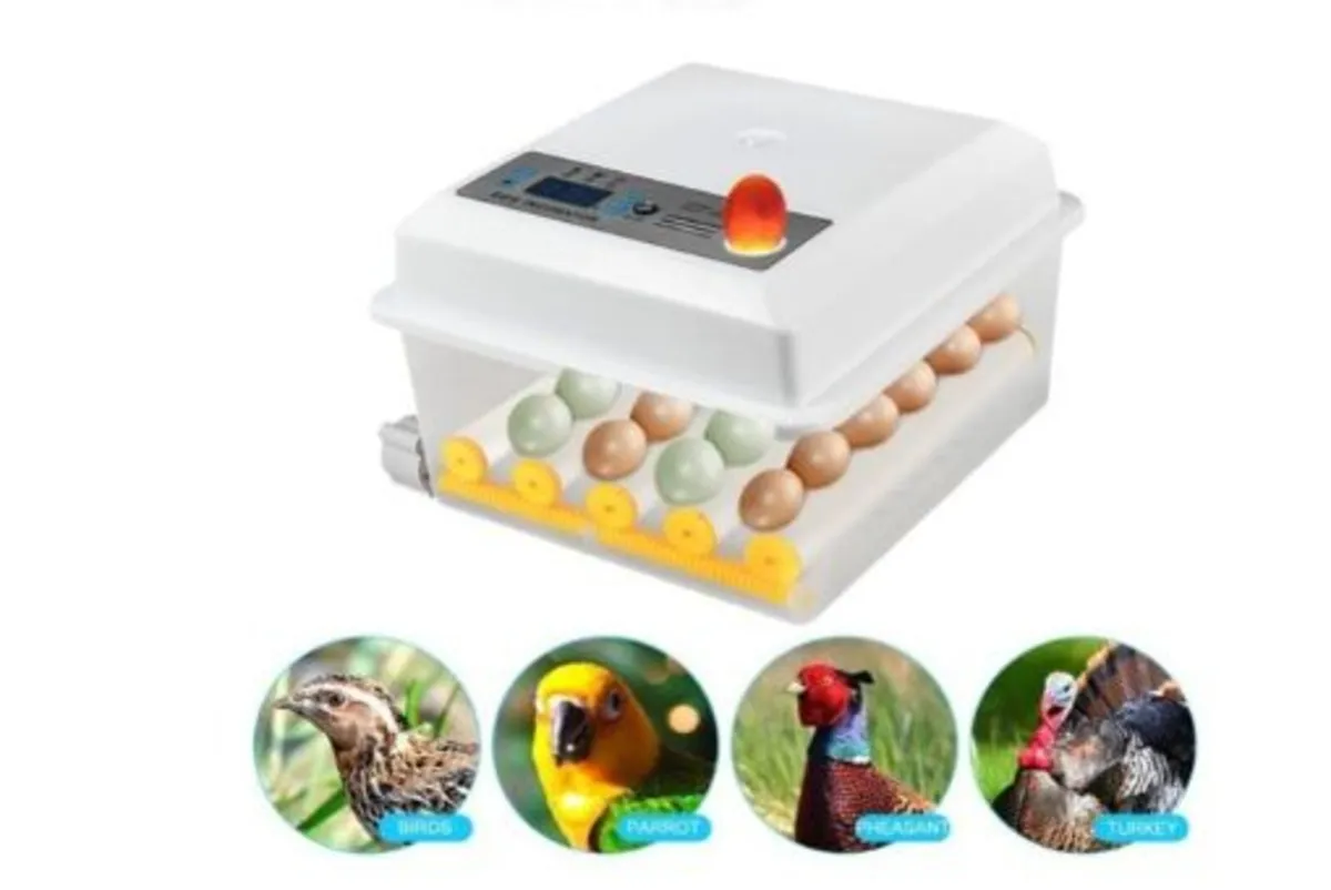 Automatic 16 Egg Incubator Temp Control Hatch - Image 4