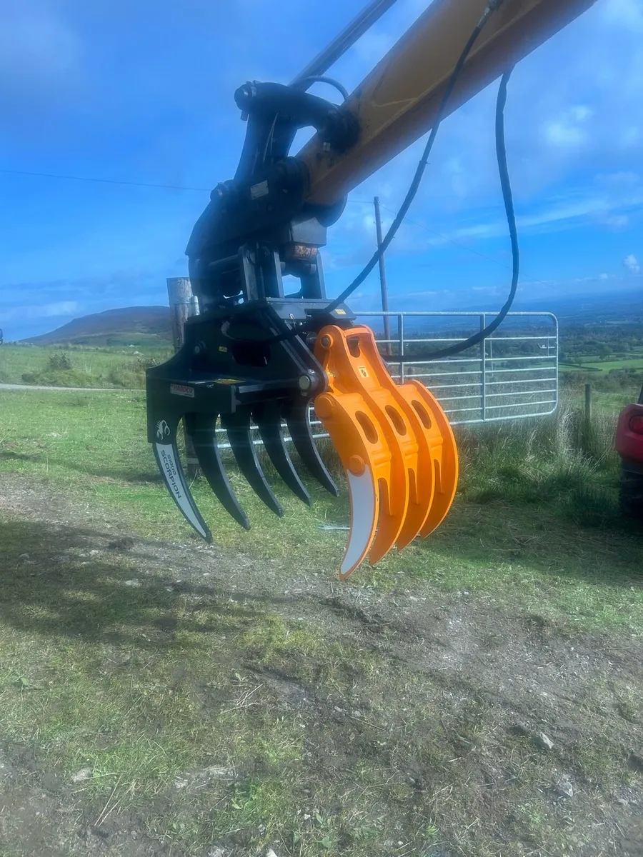 Scorpion grabs - Image 4
