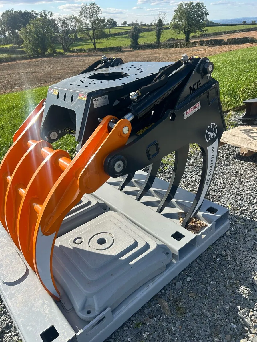 Scorpion grabs - Image 1