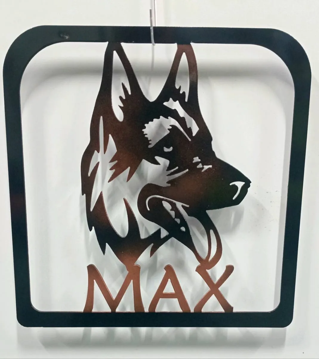 Customssr ie - Image 1