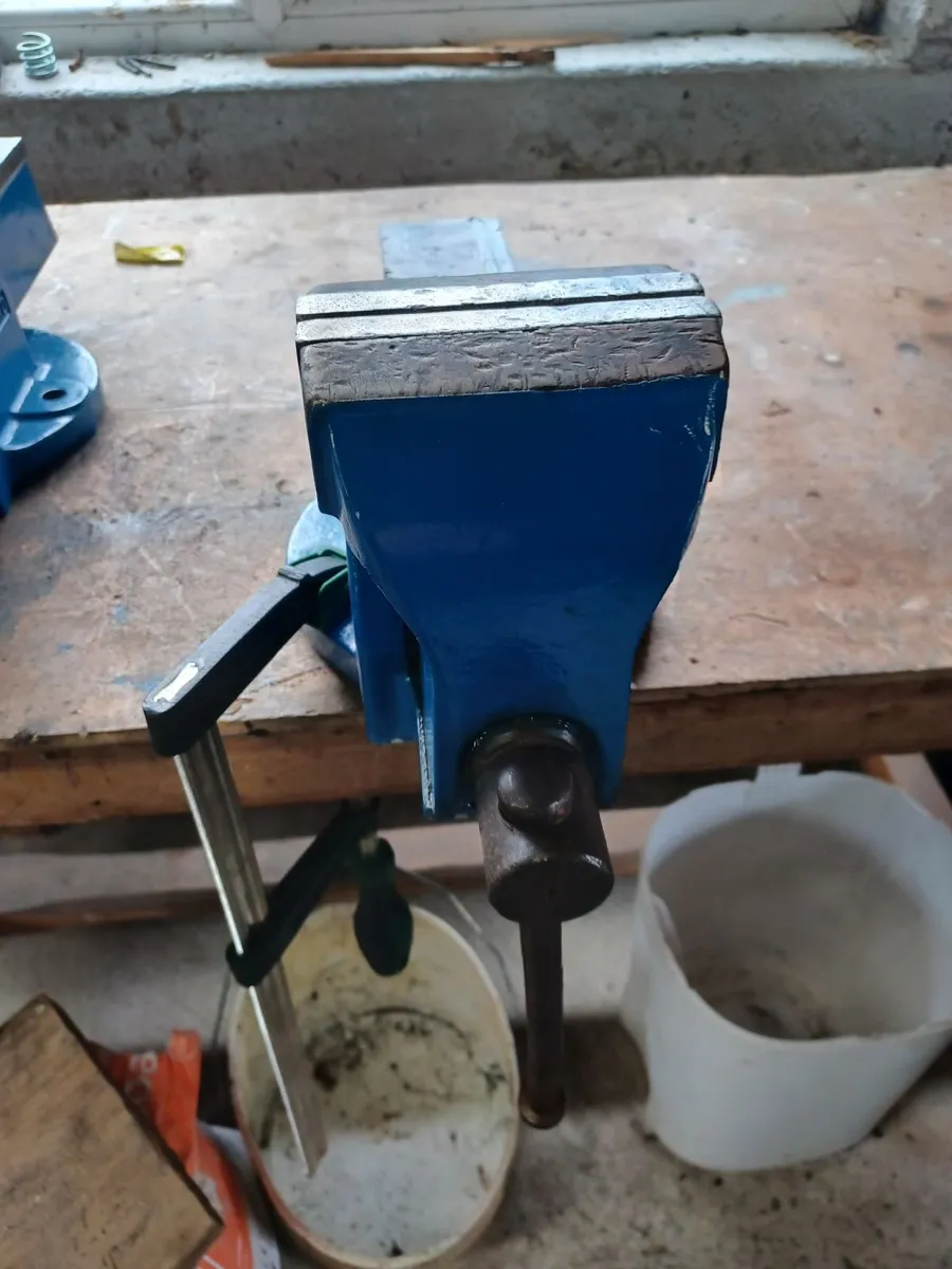 Record no.4 vice's - Image 2