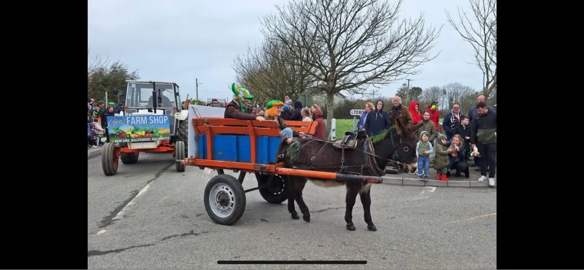 Donkey and cart - Image 1