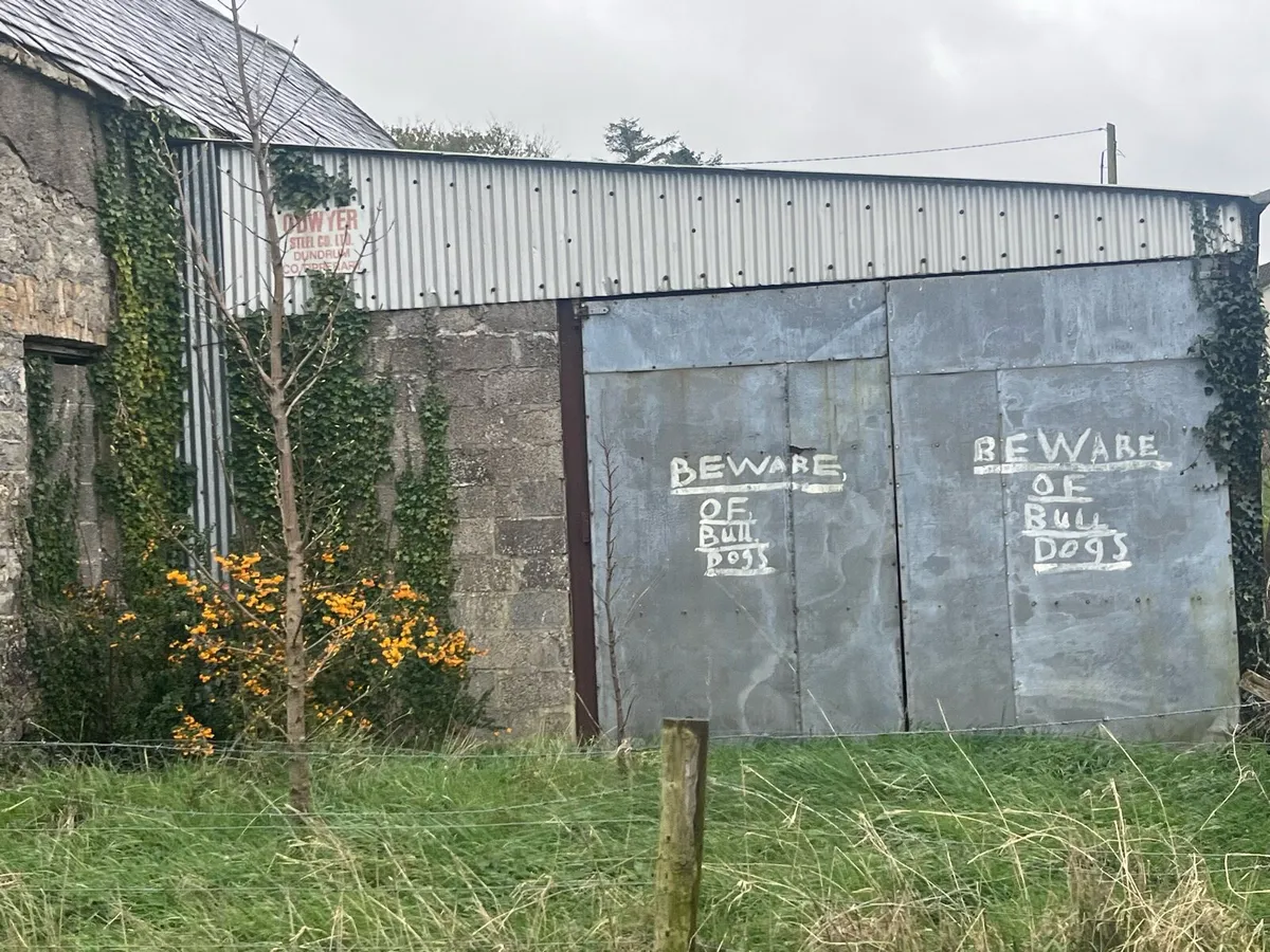 Lean two shed - Image 2