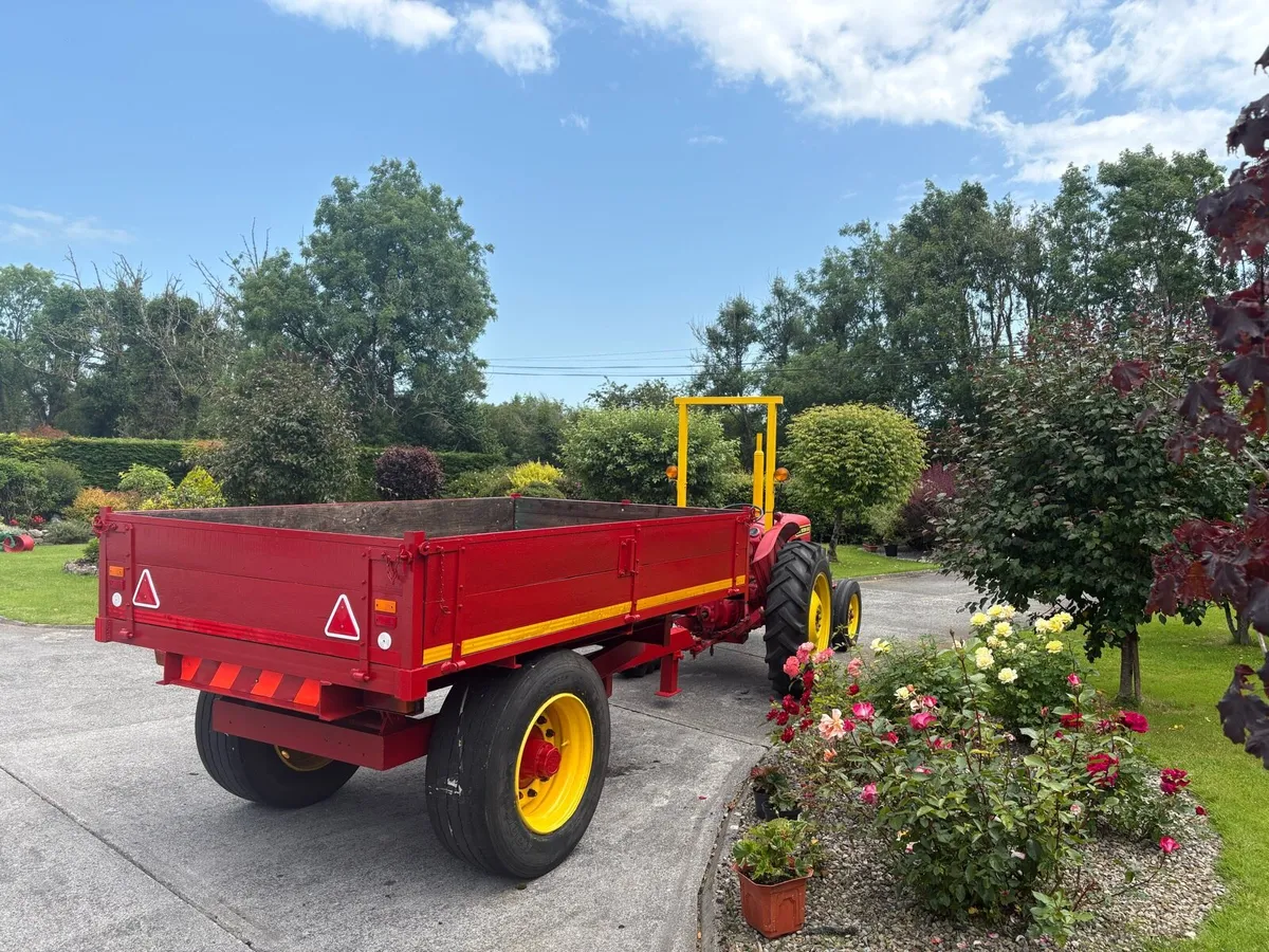 10 x 6 Tipping Trailer - Image 3