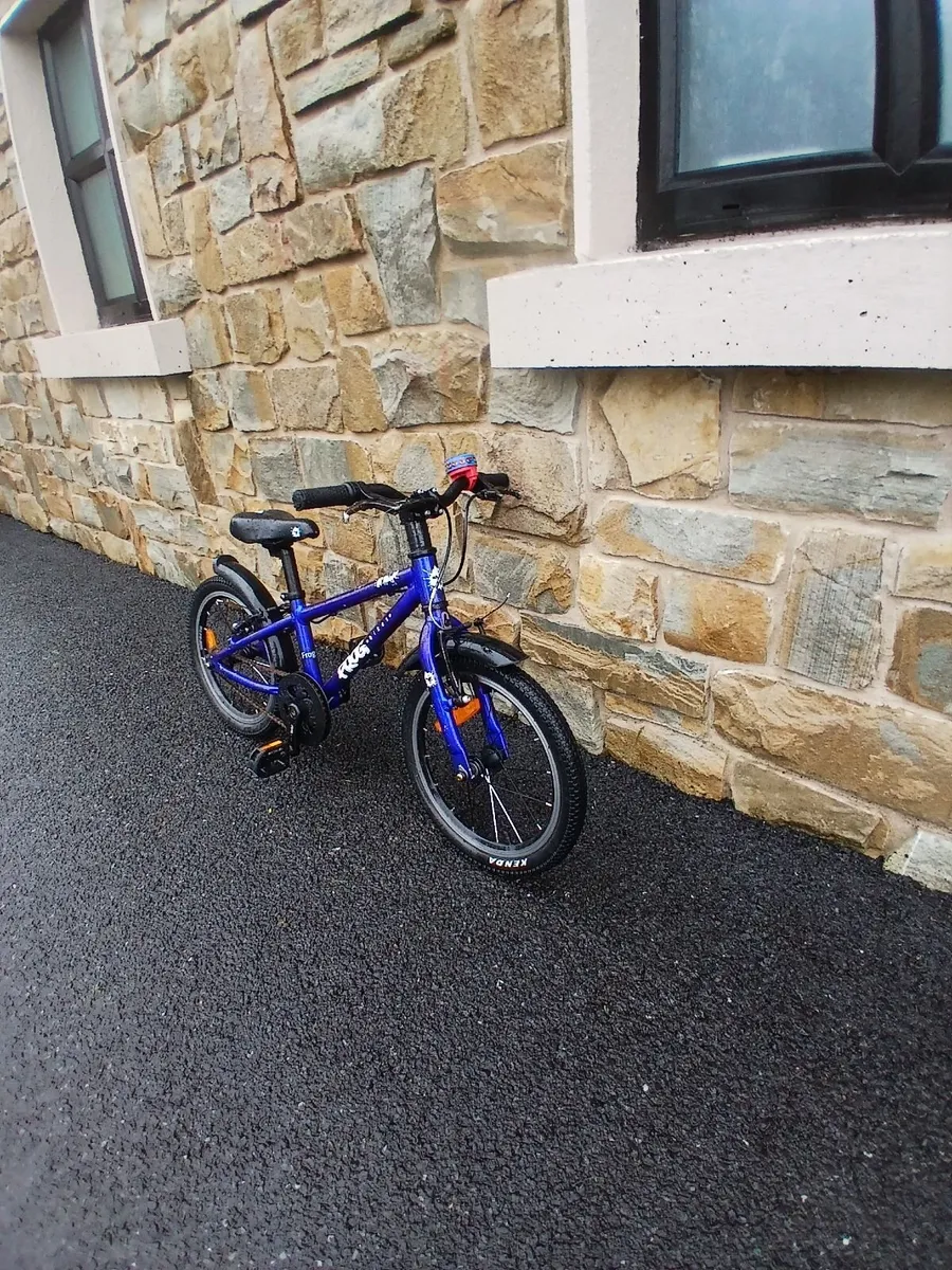 Kids frog bike - Image 2