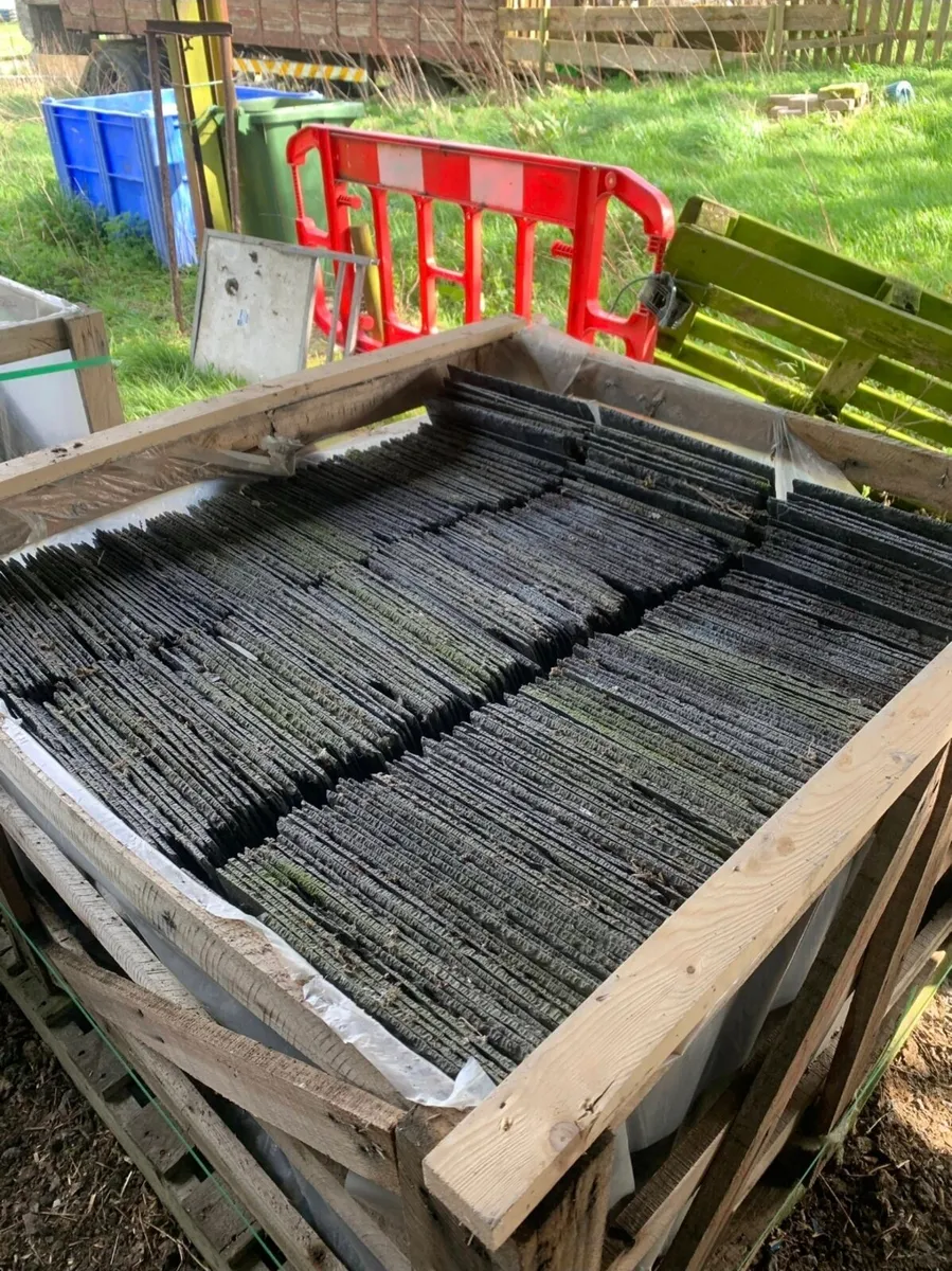 Natural Slates (New) - Image 2