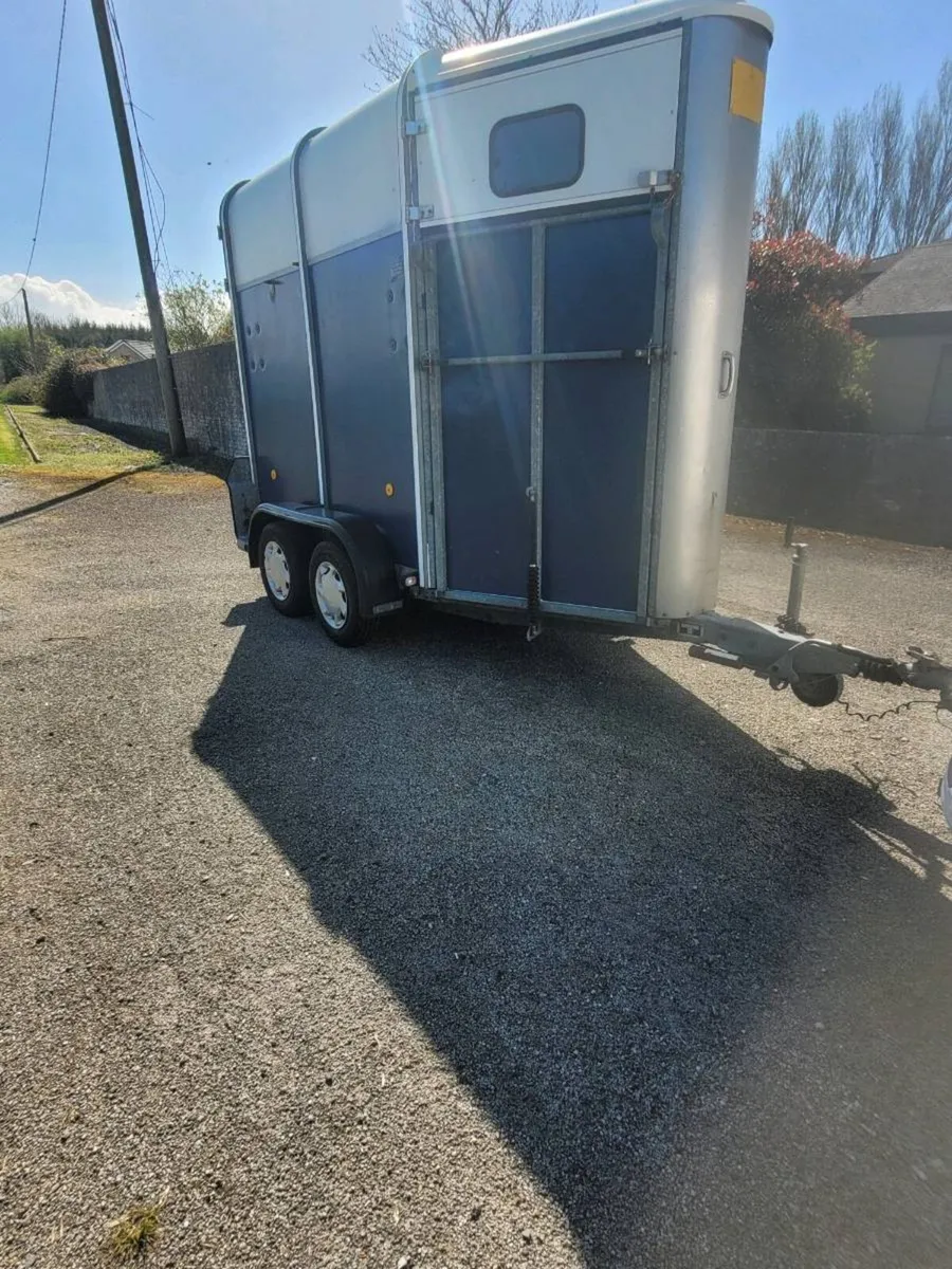 Ifor Williams horse box 401 mare and foal - Image 1