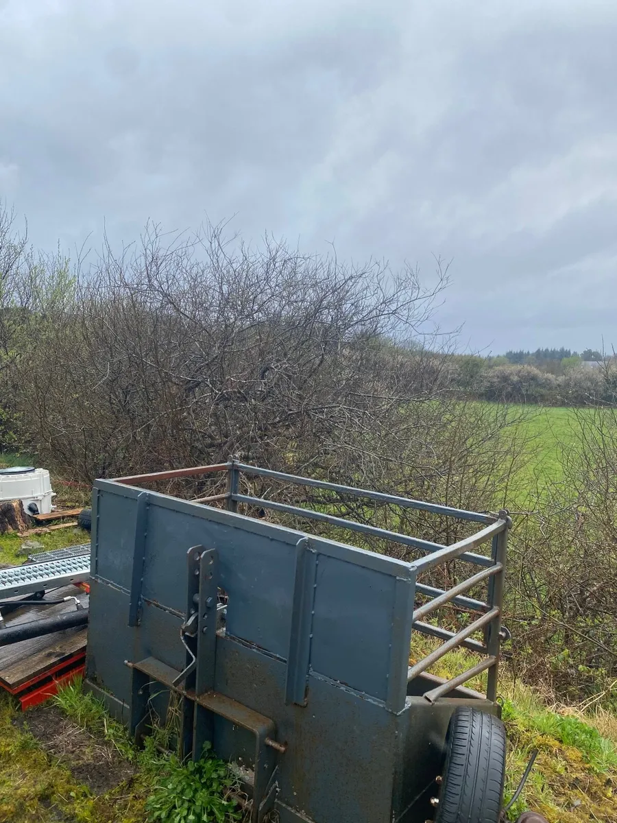 transport box - Image 2