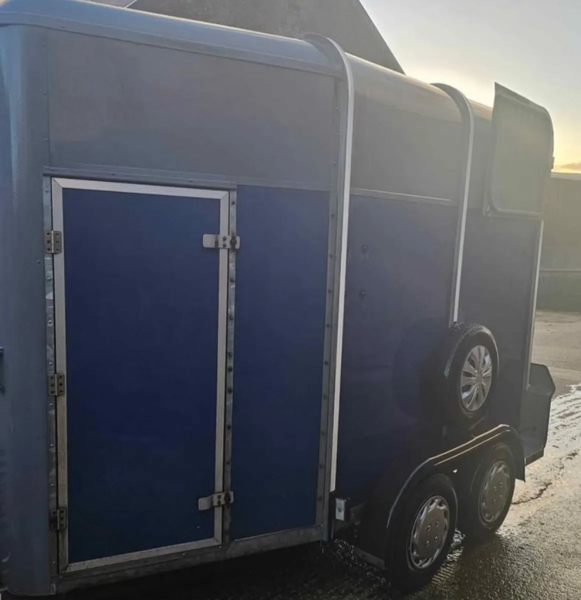 Ifor Williams 505 horse trailer - Image 1