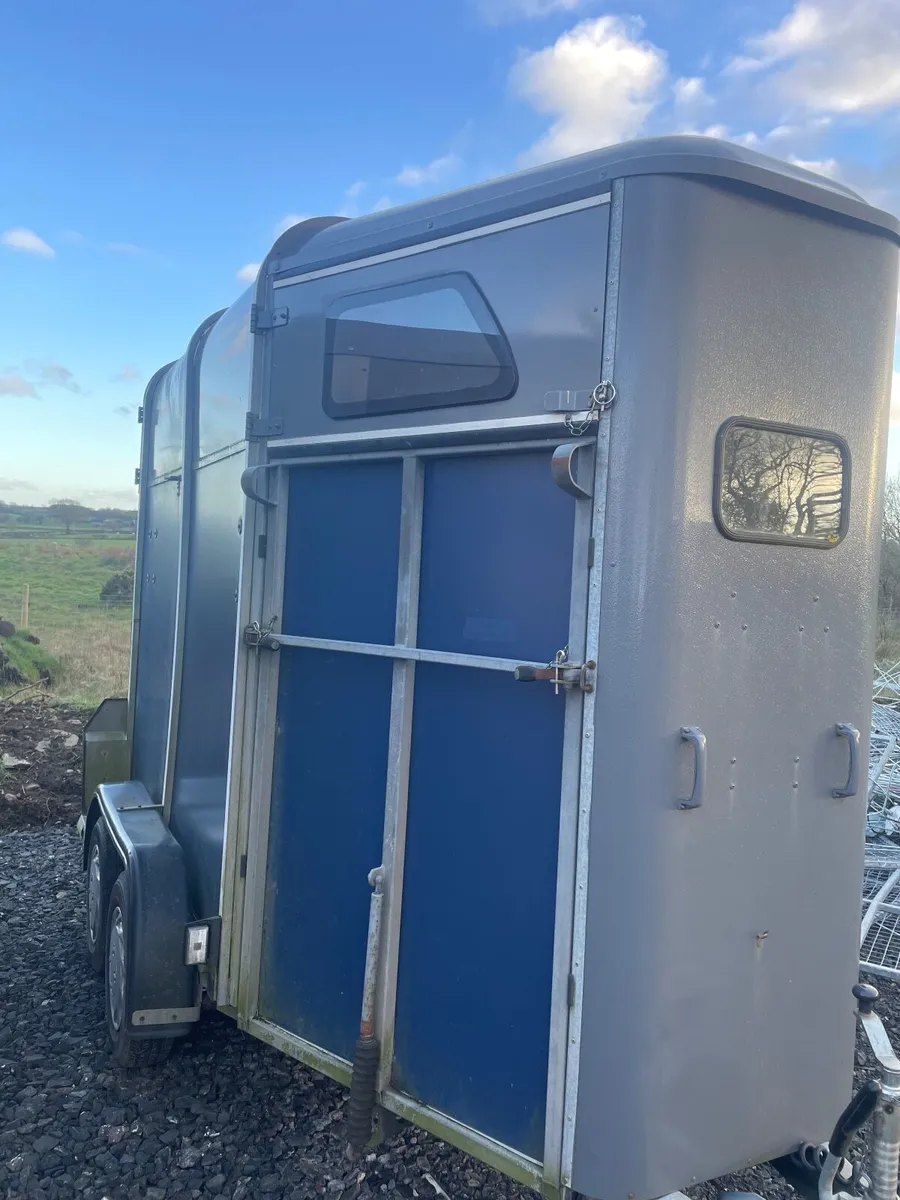 Ifor Williams 505 horse trailer - Image 2