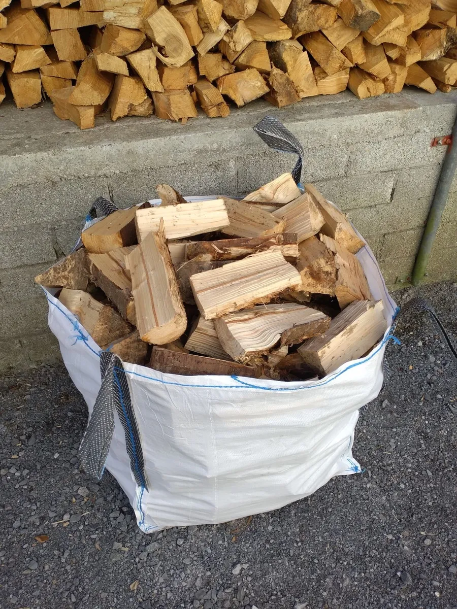 Firewood - Image 2