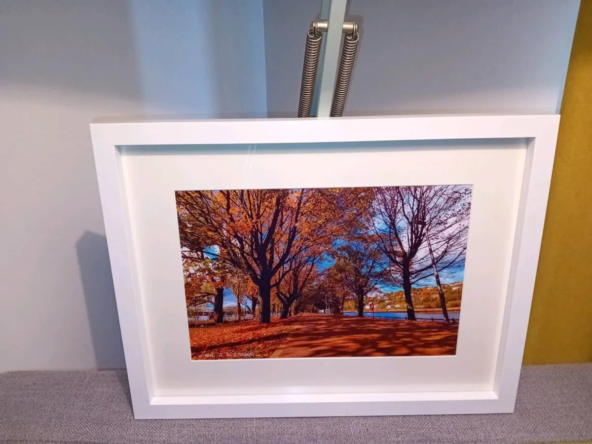 The Marina, Cork - Image 2