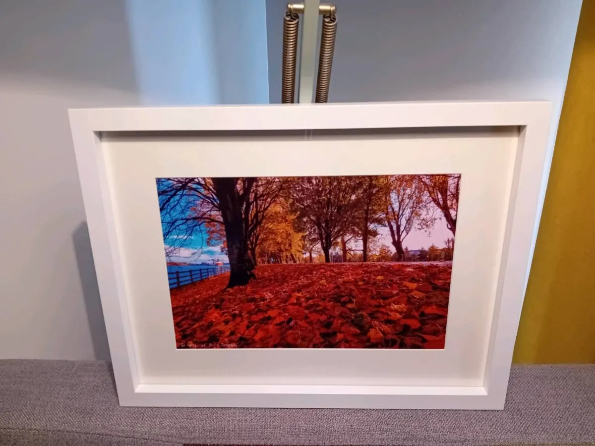 The Marina, Cork - Image 3