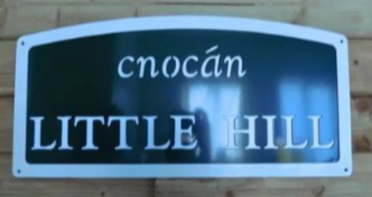 Customssr ie - Image 2