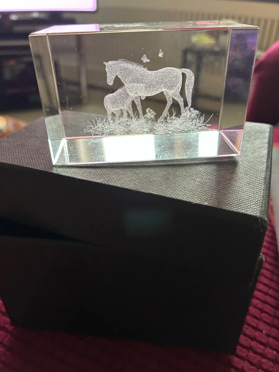 Etched Glass Horse Display - Image 1