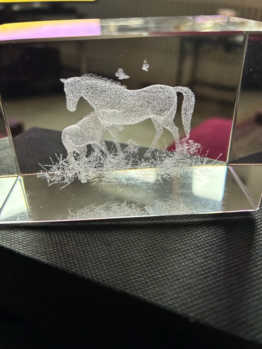 Etched Glass Horse Display - Image 2
