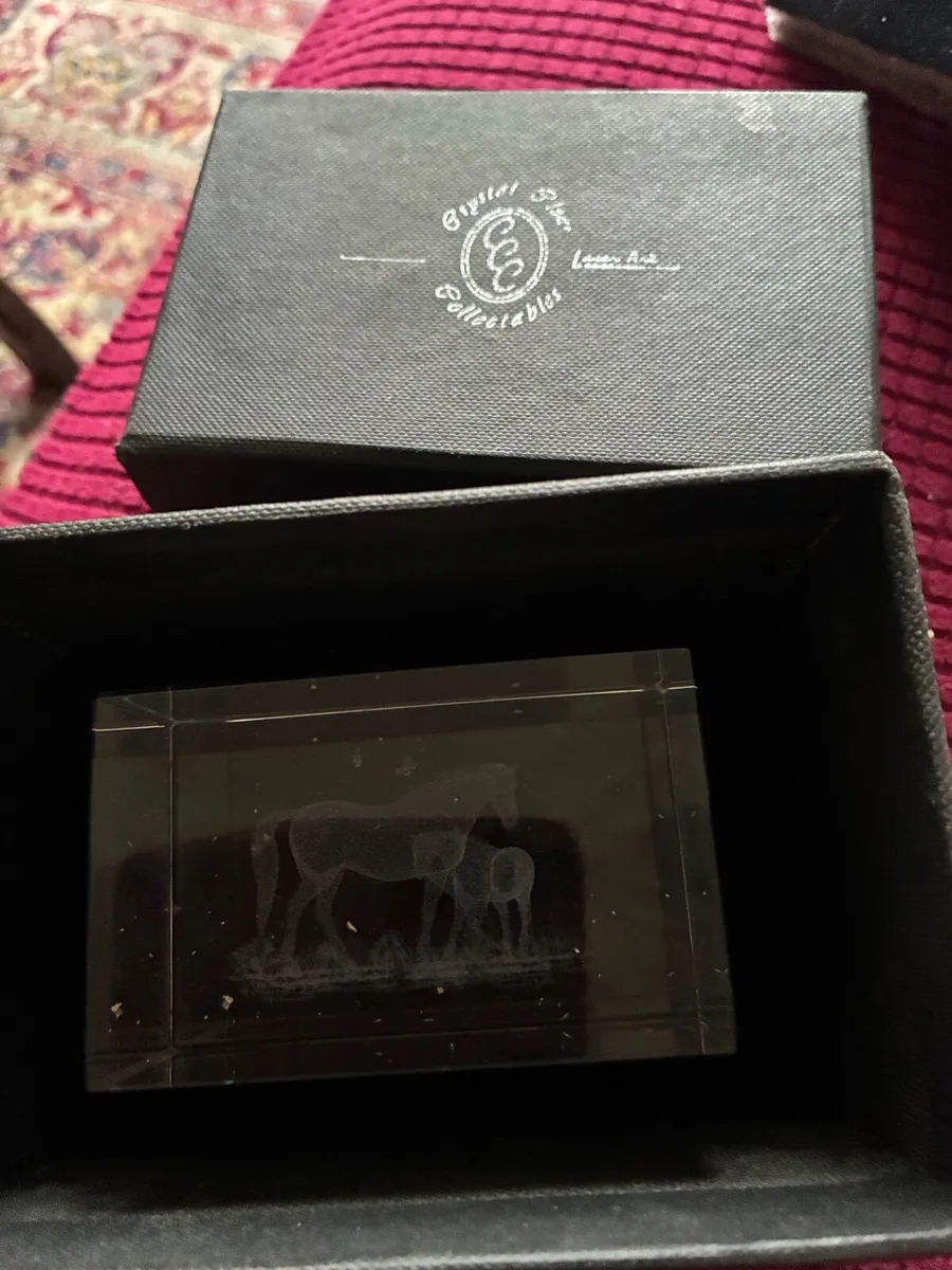 Etched Glass Horse Display - Image 3
