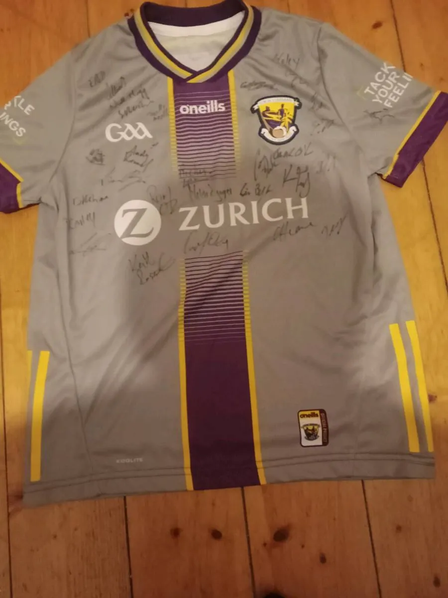 Whole team signed jersey gaa wexford - Image 1