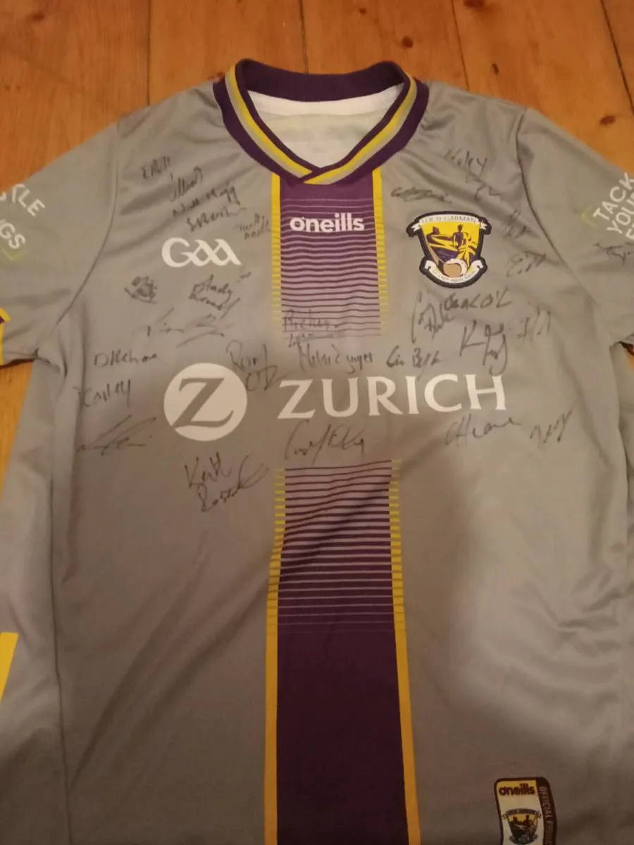 Whole team signed jersey gaa wexford - Image 2