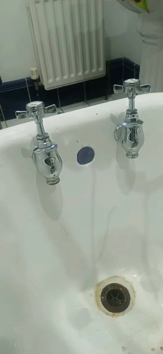 Cast Iron Roll top bath - Image 4