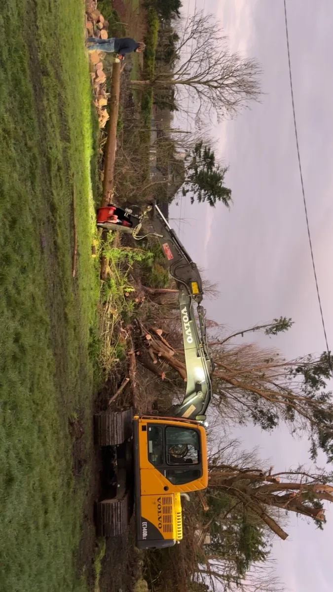 Plant hire / groundworks / tree surgeon / agri hit - Image 1