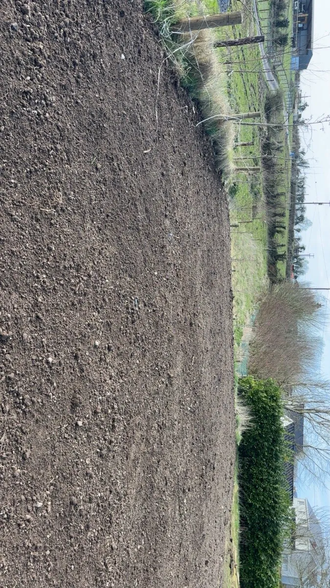 Plant hire / groundworks / tree surgeon / agri hit - Image 3