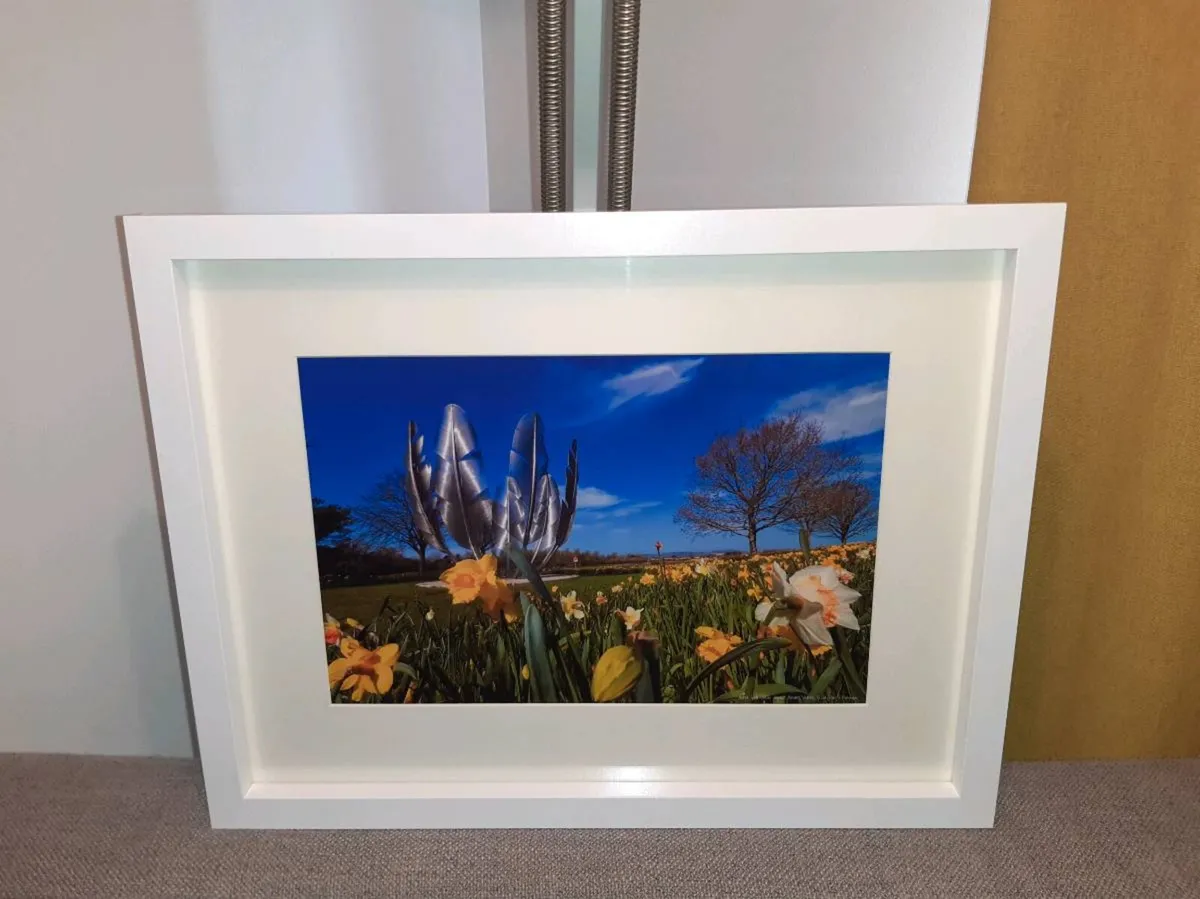 Choctaw Monument, Midleton - Image 4