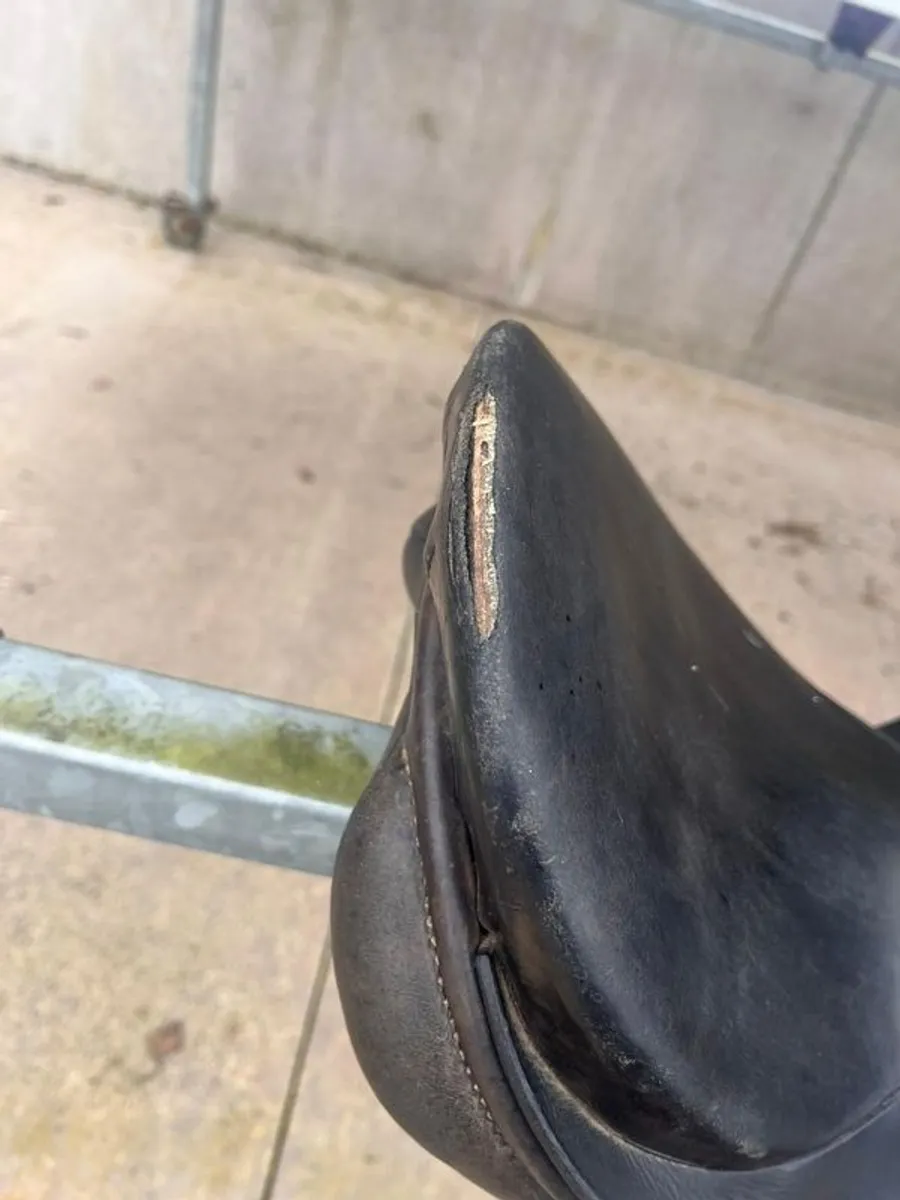 saddle - Image 4
