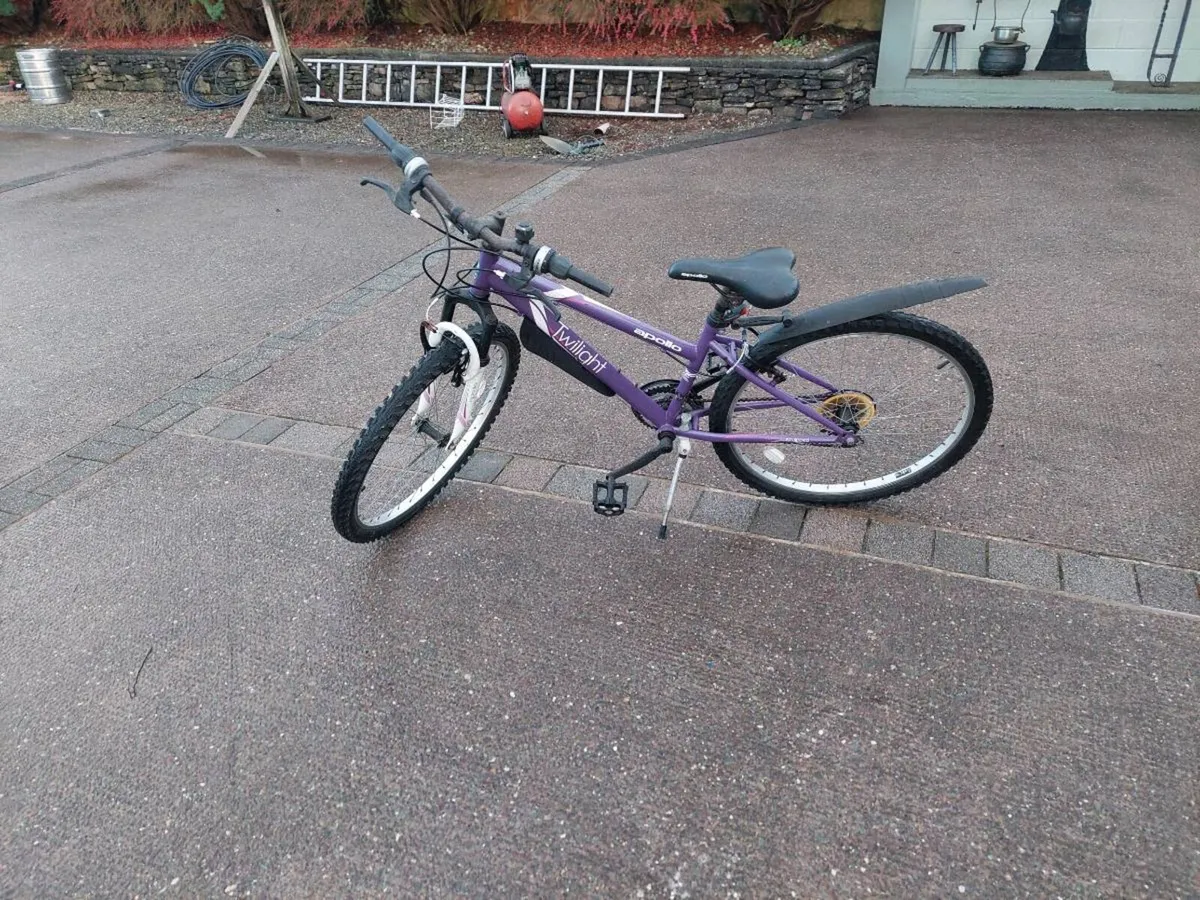 Girls bike - Image 2