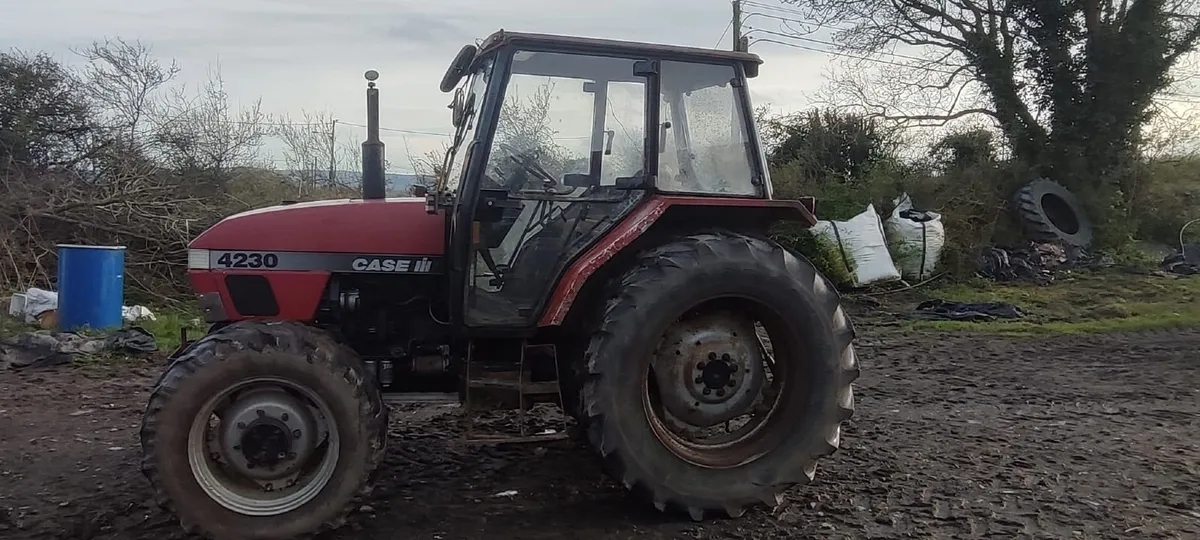CASE 4230 - Image 1