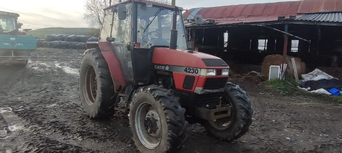 CASE 4230 - Image 2