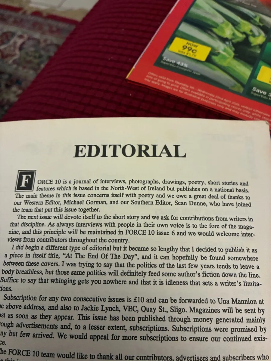 Force 10- An Irish Journal Spring ‘93 - Image 2