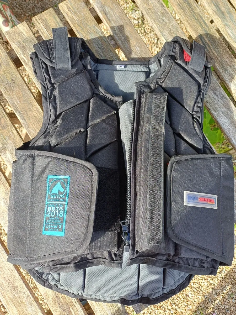 Horse riding back and shoulder protector - Image 1