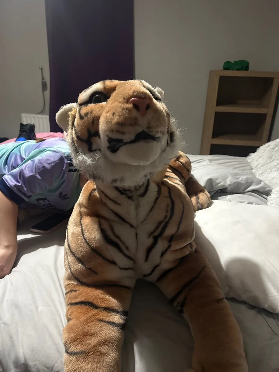 Tiger teddy - Image 2