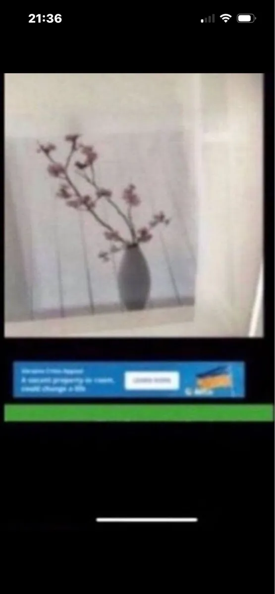 Framed Floral  Print Set - Image 4