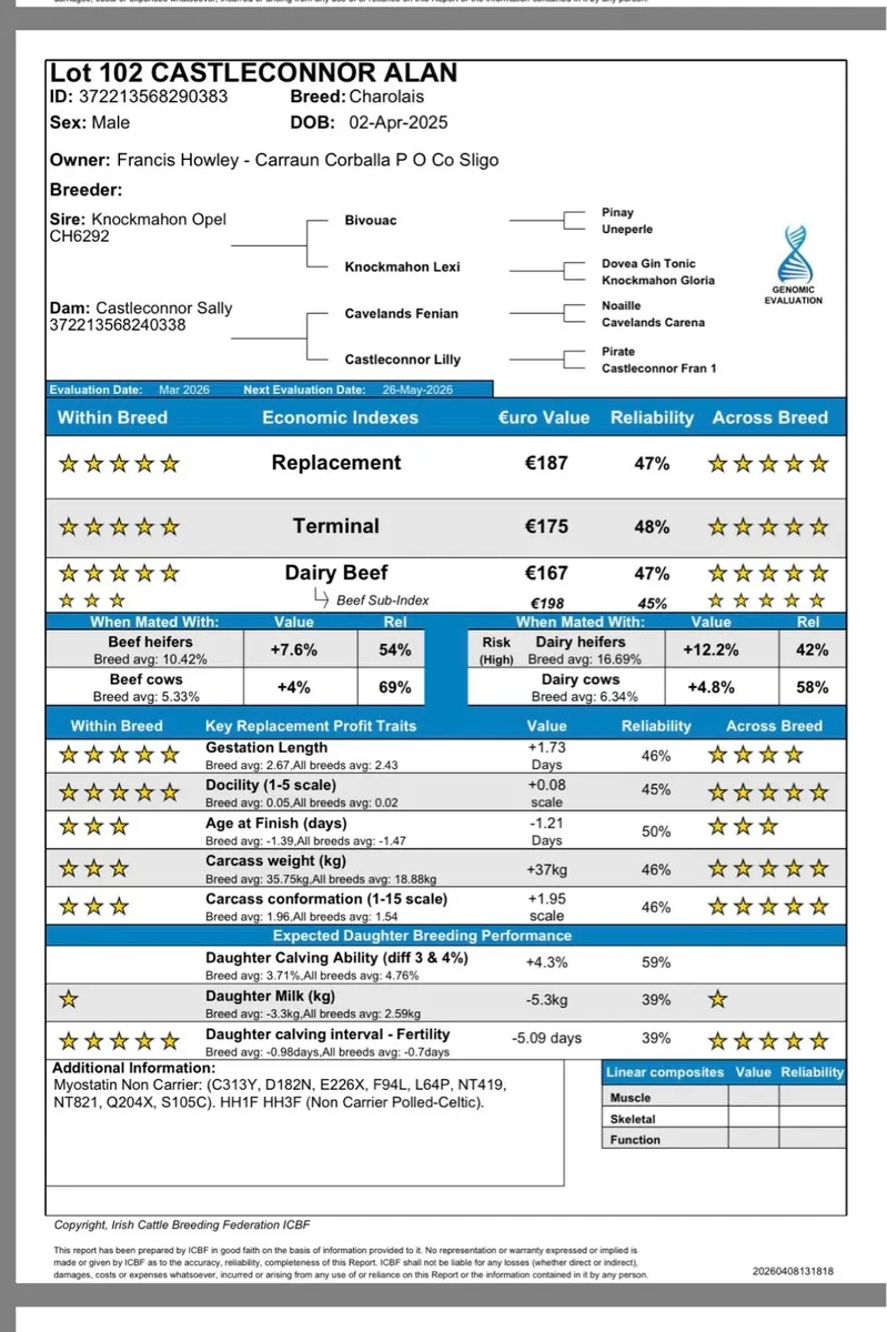 Going ballina mart on Tuesday 14th April - Image 3