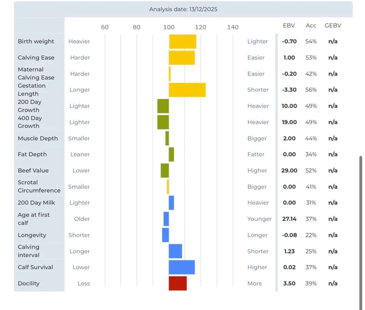 Pedigree Limousin bull - Image 3