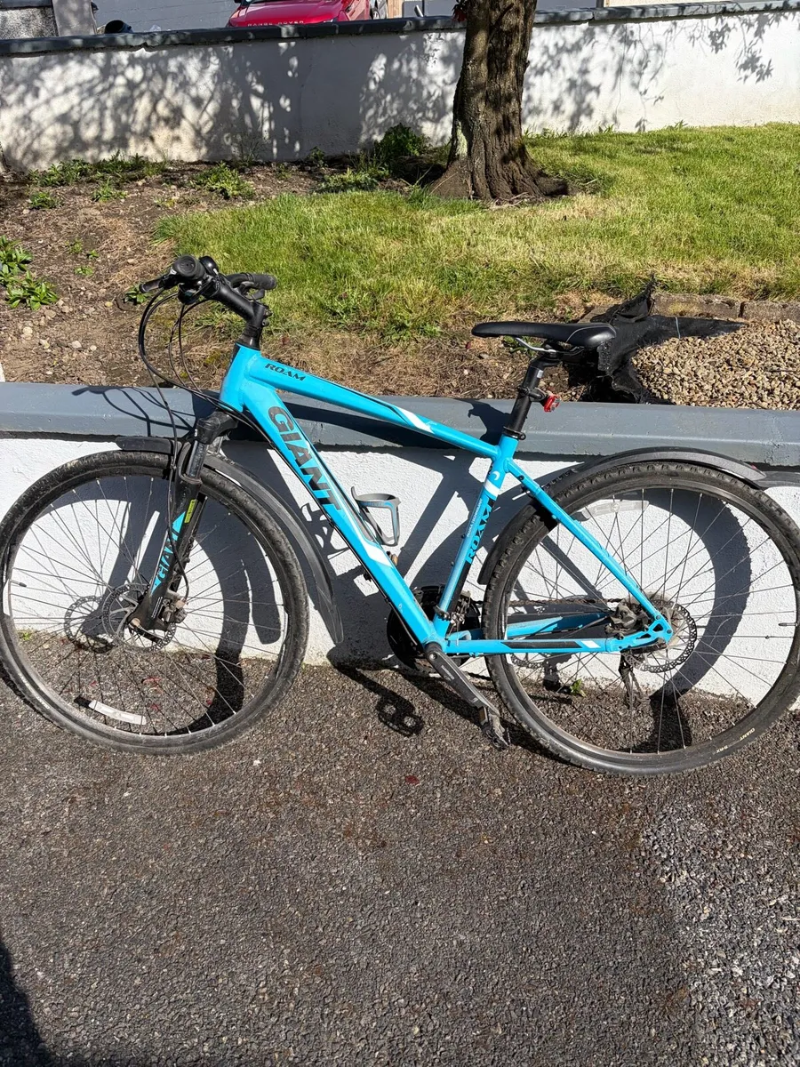 Giant hybrid bike - Image 1